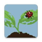 EDDMapS BioControl 圖標