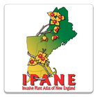 IPANE icon