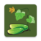 Vegetable Doctor icon