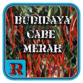 Budidaya Cabe Merah icon