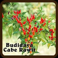 Budidaya Cabe Rawit Affiche