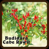 Budidaya Cabe Rawit постер