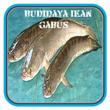 Budidaya Ikan Gabus icône