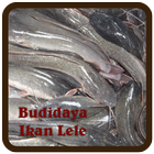 Budidaya Ikan Lele 아이콘