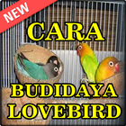 Budidaya Burung LoveBrid biểu tượng