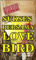 Poster Budidaya Burung LoveBrid