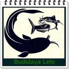 Budidaya Ikan Lele Terbaik icono