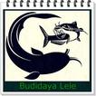 Budidaya Lele