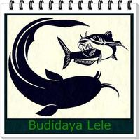 Budidaya Lele poster