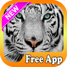 Tiger Live Wallpaper 2017 أيقونة