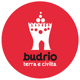 Budrio icon