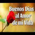 Mensajes Buenos dias Amor