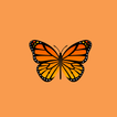 ”ButterflyCall