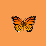 ButterflyCall ícone