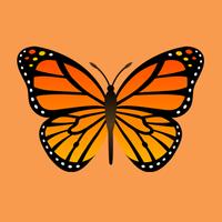ButterflyCall Cartaz