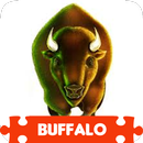 Buffalo Puzzles APK