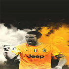 Buffon Hd Wallpapers ícone