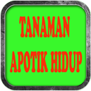 Segala Jenis Tanaman Apotik Hidup Lengkap APK