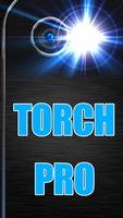 Poster Torch Pro