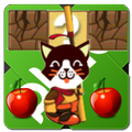 Super Cat New 2017