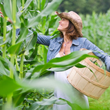 Organic Gardener icône