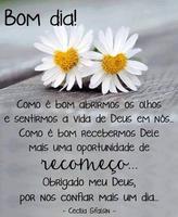 bom dia zap zap gifs plakat