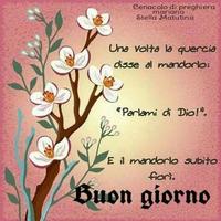 messagi buongiorno immagini gif ภาพหน้าจอ 3