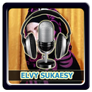 Lagu ELVI SUKAESIH Lengkap + Lirik APK