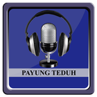 Lagu PAYUNG TEDUH - AKAD icône