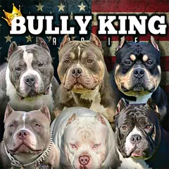 BULLY KING マガジン アプリダウンロード