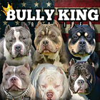 BULLY KING آئیکن