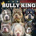 BULLY KING icon