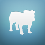 ”BullGuard Mobile Backup