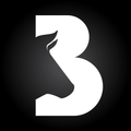 BullnBar