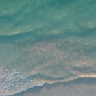 Beach Waves Live Wallpaper-icoon