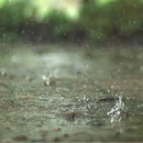 Real Rain Live Wallpaper APK