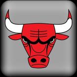 Chicago Bulls