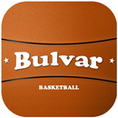 Bulvar Basketball APK