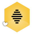 Guide for Bumble