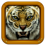 Tiger Photo Puzzles for Kids