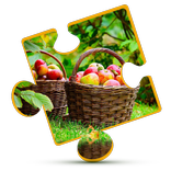 Fruit and Veg Education Puzzle