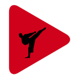 Popular YouTube Martial Arts