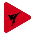 Popular YouTube Martial Arts