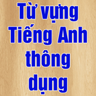 3000 từ tiếng Anh thông dụng icône