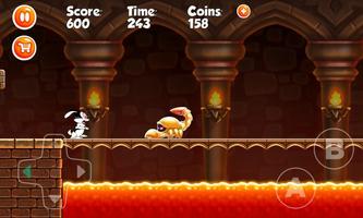 Super Adventure Of Bunicula bros پوسٹر