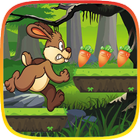 Bunny Carrot Adventure icône