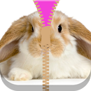 Bunny Clever Zipper Locker APK