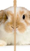 Bunny Clever Zipper Locker ภาพหน้าจอ 1