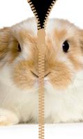 Bunny Clever Zipper Locker ภาพหน้าจอ 3