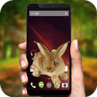 Bunny on screen icône